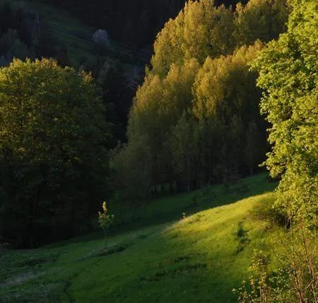 Отель La Ferme Du Bois Barbu